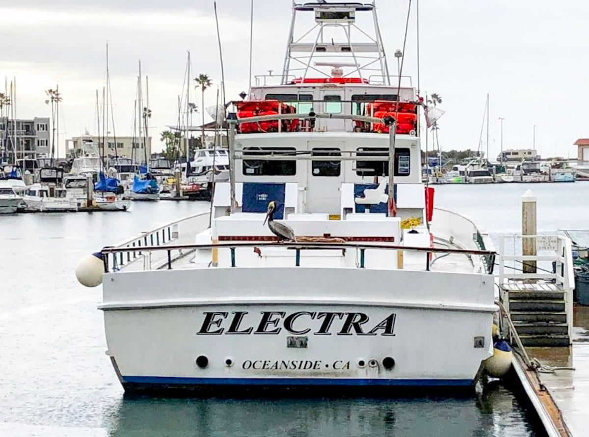 A dozen passengers aboard Electra, a commercial passenger fishing vessel owned by Helgren's Sportfishing, were observed poaching in Swami's State Marine Conservation Area in December 2020. Courtesy photo