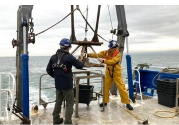 Samples have been taken from the seabed as it was confirmed only crabs and lobsters have been affected