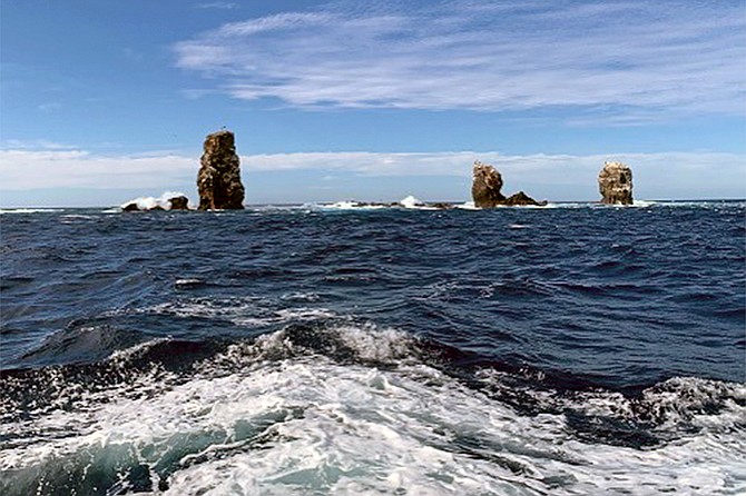 At 200 miles west of Baja’s Bahia Magdalena, the waters around the tiny, steep and barren volcanic Alijos Rocks is a wahoo haven in December.