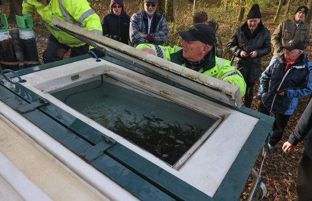 The fish were transported from an EA hatchery