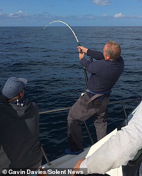 The large fish weighed 505lbs - as much as a grizzly bear - and took around two hours to reel in