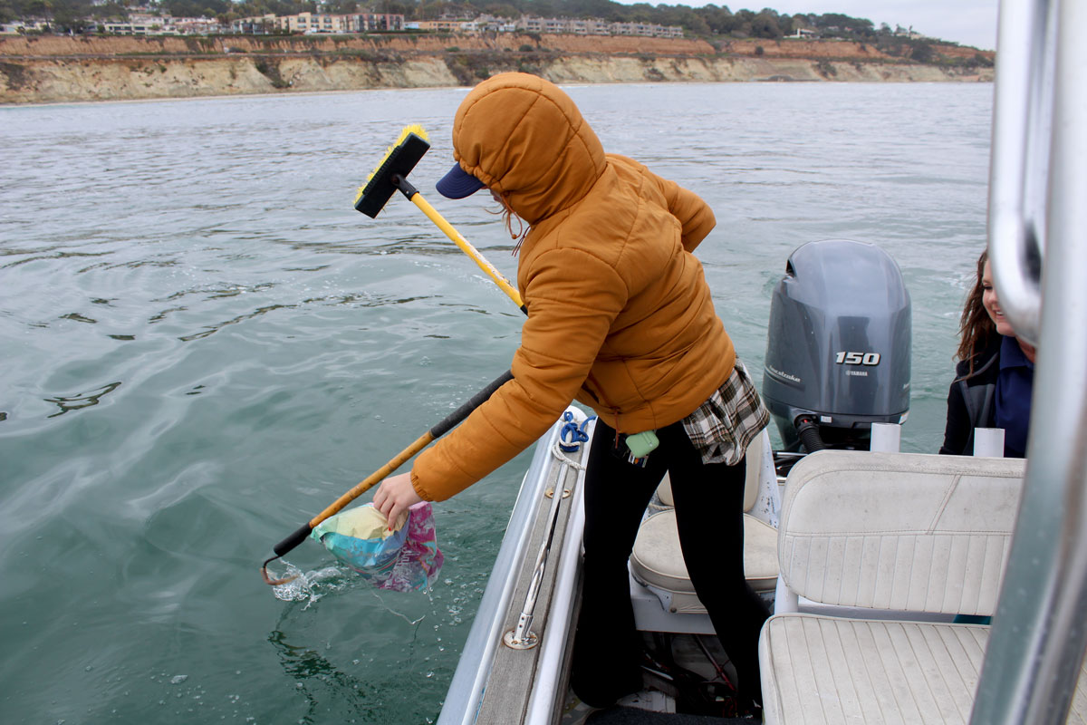 Lillie Mulligan pulls a balloon out of the water, an unfortunate yet frequent occurrence during Wildcoast's patrols along San Diego County coast. Photo by Jordan P. Ingram