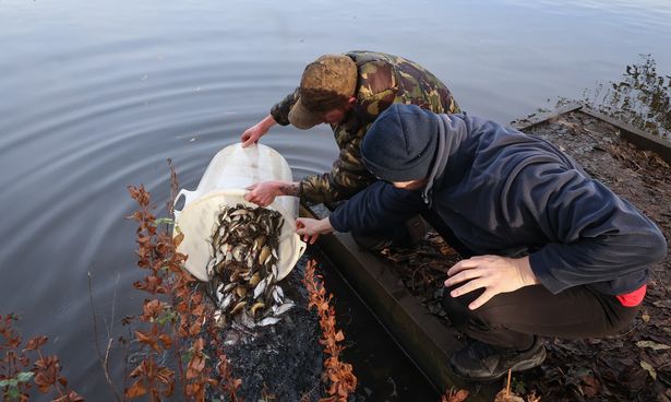 Nearly 4,000 fish were released