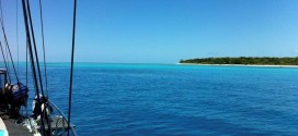 Wedding ring found by diver
