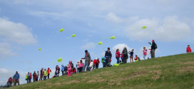 Kids activities Cardiff rambles kites