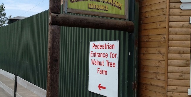 Walnut tree farm park