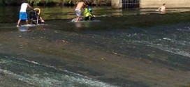 River Taff pushchairs