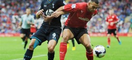 caulker spurs