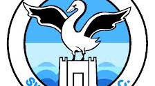 Swansea city
