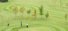 cardiff pitch and putt