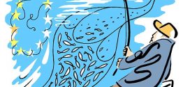 Bass Fine for anglers