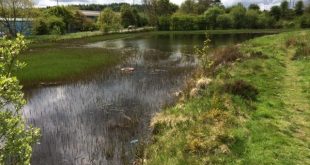 Fishing lake