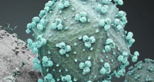 HIV particles