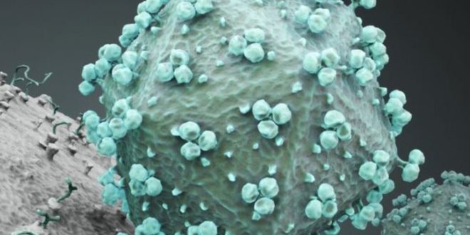 HIV particles