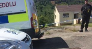 Elliots town murder
