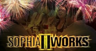 Fireworks in Cardiff - Sophiaworks