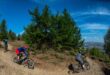 Mountain Biking trails