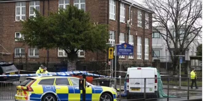 Police van incident cardiff
