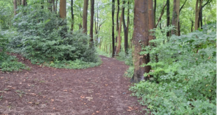 ely trail cardiff